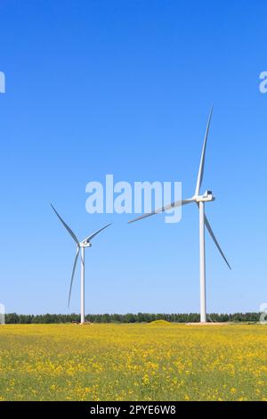 Turbina eolica in un campo di fiori gialli di colza Foto Stock
