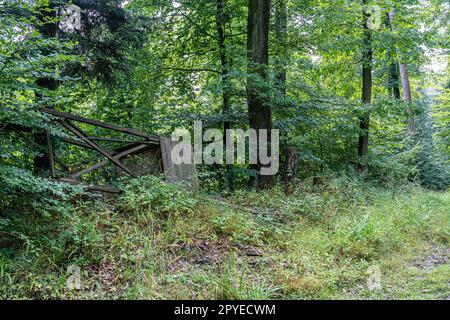 Distrutta pelle sollevata per la caccia nel mezzo della foresta Foto Stock