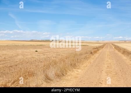 Regione Castiglia e León paesaggio rurale, Spagna Foto Stock