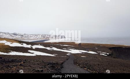 Vista dal faro di Dyrholaey in Islanda che si affaccia sulla spiaggia di sabbia nera. Foto Stock