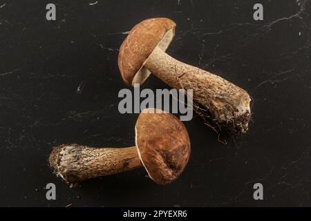 Vista del piano portapaziente - due appena raccolto di funghi (scaber deviosgancio / Leccinum scabrum) via lo sporco dalla foresta ancora su di essi, sul grigio scuro, scheda. Foto Stock