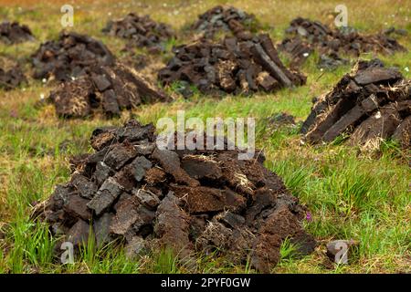 Erba sintetica tradizionale taglio Mayo Irlanda e mucchi di asciugare zolle di erba sintetica sulla palude Foto Stock