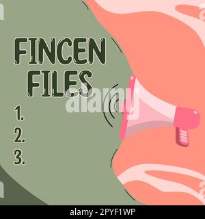 Visualizzazione concettuale dei file FinCEN. Approccio aziendale operazioni in attività e passività finanziarie Foto Stock