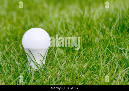 Lampadina a LED su erba verde. Risparmio energetico. Energia verde Foto Stock