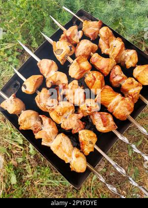 Kebab di carne nella natura da vicino Foto Stock