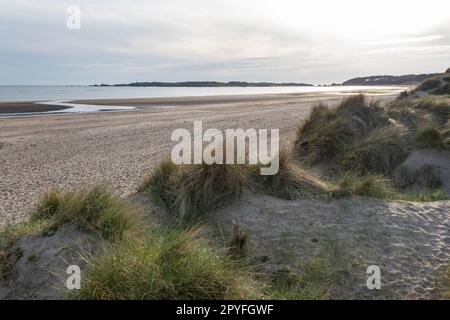 Newborough Beach in una serata primaverile ad Anglesey, Galles del Nord. Vista dalle dune di sabbia con Llanddwyn Island in lontananza. Foto Stock