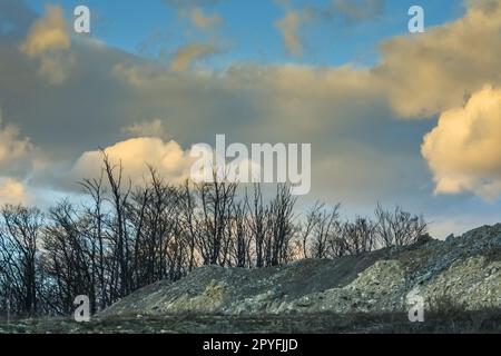 alberi in una cava di lime con nuvole colorate al tramonto Foto Stock