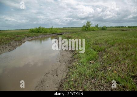 Ondo state, Nigeria - 2nd maggio 2023 - la via d'acqua inquinata dell'area fluviale di Abereke della Comunità di Ilaje. Foto Stock