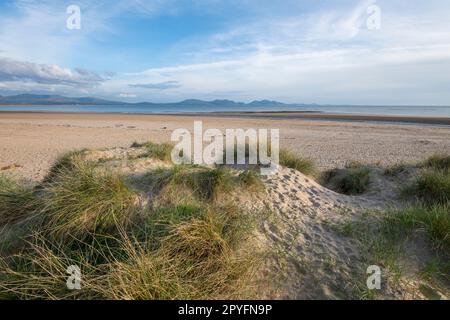 Newborough Beach in una serata primaverile ad Anglesey, Galles del Nord. Vista sulle montagne della terraferma all'orizzonte. Foto Stock