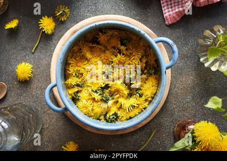 Dente di leone blossomms macerare in acqua in una pentola - preparazione di sciroppo di erbe Foto Stock