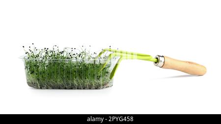 Contenitore in plastica con micro verde fresco e rastrello su fondo bianco Foto Stock