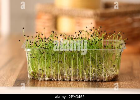 Contenitore in plastica con micro verde fresco sul tavolo in cucina Foto Stock