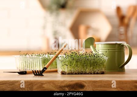 Contenitore in plastica con micro verde e rastrello sul tavolo in cucina Foto Stock