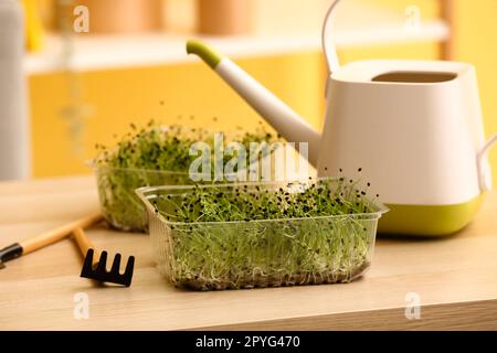 Contenitore in plastica con micro verde fresco e rastrello sul tavolo Foto Stock