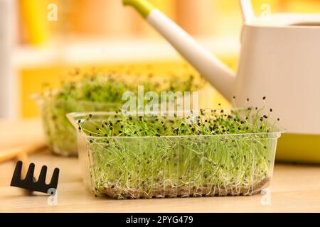 Contenitore in plastica con micro verde fresco sul tavolo Foto Stock