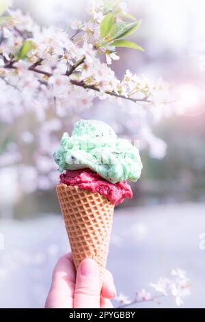 Gelato in cono cialde isolato su verde fresco Foto Stock