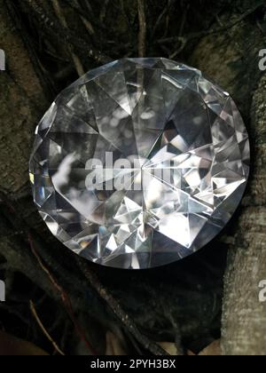 diamanti nelle radici Foto Stock
