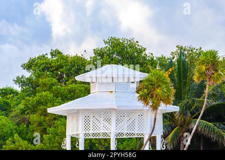 Padiglione bianco in pergula nobile in paradiso sulle palme da spiaggia del Messico. Foto Stock