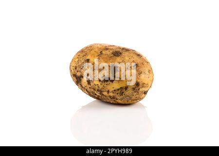 Patate sporche isolati su sfondo bianco. Foto Stock