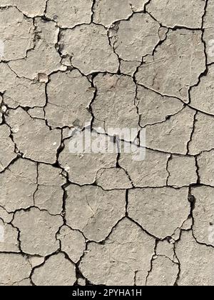 Incrinature nel terreno. Aridità. Terra grigia. Deserto. Primo piano del fango incrinato. Trama Foto Stock