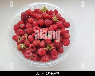 Lamponi rossi succosi in contenitore di plastica su sfondo bianco, vista dall'alto. Lamponi in un secchio di plastica. Ripe razz Foto Stock