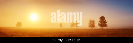 Alba sul campo nella mattina nebbia. Foto Stock