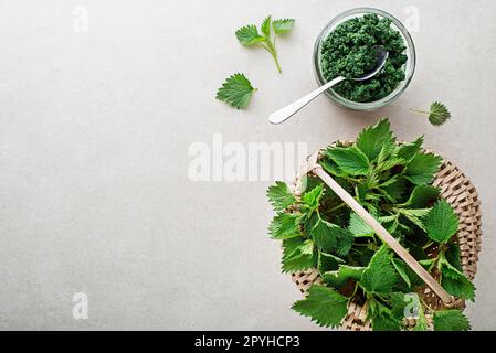 Foglie di ortica Foto Stock