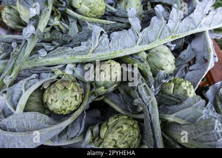 Carciofi in un mercato Foto Stock