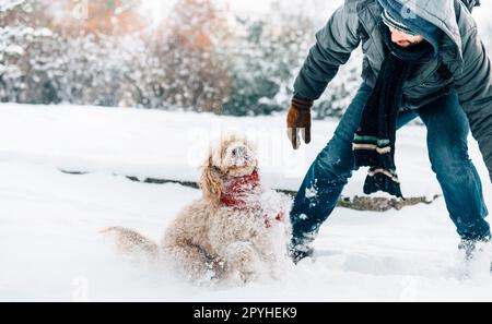 Combatti con le palle di neve con PET e il suo proprietario nella neve. Emozioni per le vacanze invernali. Foto Stock