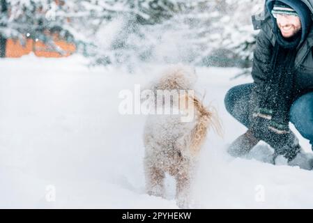 Snowball combattere divertimento con l'animale domestico e il suo proprietario nella neve. Emozione di vacanza invernale. Carino cane puddle e l'uomo che gioca e corre nella foresta. Immagine filtro pellicola. Foto Stock