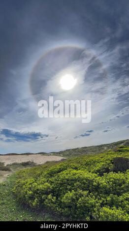 Alone solare che si verifica a causa di cristalli di ghiaccio in atmosfera. Fenomeno solare. Foto Stock