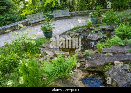 Vista panoramica del tranquillo Stream Garden presso l'Atlanta Botanical Garden a Gainesville, Georgia. (USA) Foto Stock