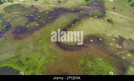 Incredibile vista aerea del tipico paesaggio paludoso Pantanal con lagune, fiumi, prati e alberi, Mato Grosso, Brasile Foto Stock