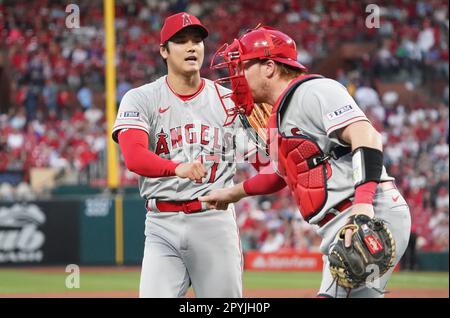 St Louis, Stati Uniti. 03rd maggio, 2023. Los Angeles Angels a partire la caraffa Shohel Ohtani urti pugni con il catcher Chad Wallach dopo aver ottenuto il terzo fuori contro la St.. Louis Cardinals nel terzo Ininning al Busch Stadium di St Louis il Mercoledì, 3 maggio 2023. Foto di Bill Greenblatt/UPI Credit: UPI/Alamy Live News Foto Stock