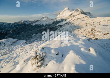 macizo del Puig Major1436 metro, Escorca, sierra de tramontana, mallorca, isole balneari, españa, europa Foto Stock