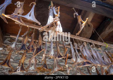 Pesce essiccato tradizionale di fronte a una casa Cudillero, Asturie, Spagna Foto Stock