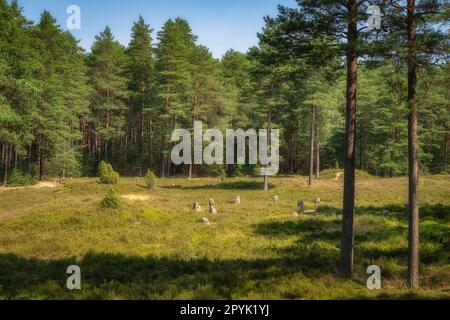 Cerchi di pietra a Odry, un antico luogo di sepoltura e di culto dell'età del bronzo, in Polonia Foto Stock