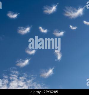 Soffici piume bianche che cadono in un cielo blu. Concetto di libertà fluttuante in piuma. Piume volanti e nuvole bianche chiare contro il cielo blu. Cigno morbido e arioso. Nuvole e sole Foto Stock