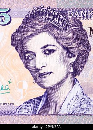 Principessa Diana un ritratto di Welsh Money Foto Stock