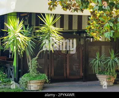 Palme in vasi di fiori all'entrata del caffè all'aperto con piccole porte in legno d'epoca Foto Stock