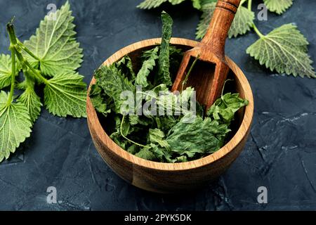 Ortica fresca e secca o urtica in Malta di legno Foto Stock