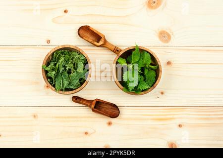 Ortica fresca e secca o urtica in Malta di legno Foto Stock