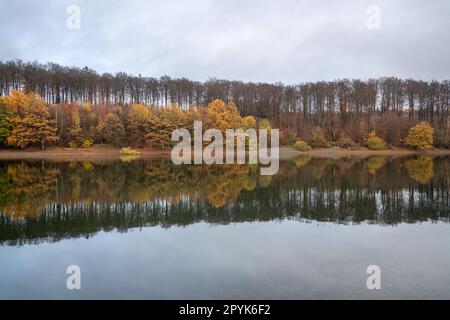 Lago Lingese, Bergisches Land, Germania Foto Stock