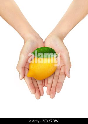 Bella mano donna che tiene un limone giallo agrumi su uno sfondo bianco isolato Foto Stock