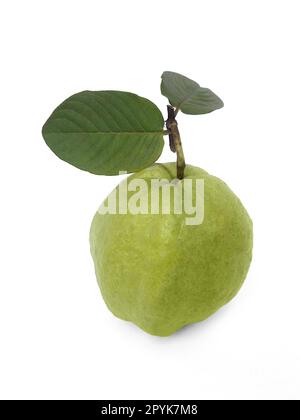 Frutto Guava isolati su sfondo bianco. Foto Stock