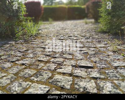 Strada acciottolata nel parco affumicato tra cespugli tagliati. Effetto bokeh. Vecchie pietre. Sfocatura sui bordi della foto. Primavera o estate. Erba verde e fogliame sugli alberi. Parco inglese Foto Stock