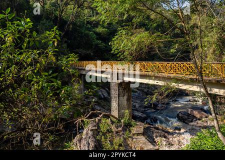 Ponte nel Parco Nazionale di Ranomafana, Madagascar paesaggio selvaggio Foto Stock