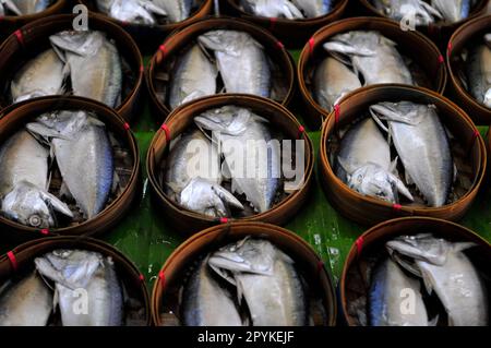 Pesce sgombro tailandese al vapore dal Golfo della Thailandia in paniere di bambù per la vendita al mercato ferroviario Mae Klong sud-ovest di Bangkok, Thailandia. Foto Stock