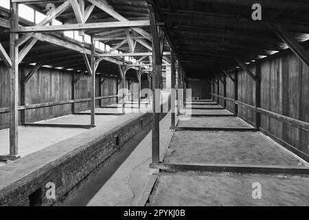 L'interno disumano delle caserme del campo di concentramento dello sterminio in Polonia dal tempo della seconda guerra mondiale Foto Stock