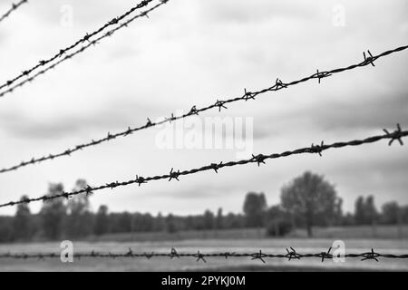 Filo spinato ad alta tensione in un campo di sterminio in Polonia dal periodo della seconda guerra mondiale Foto Stock